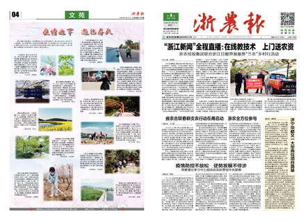 浙農(nóng)報(bào)2020第4期（一、四版）